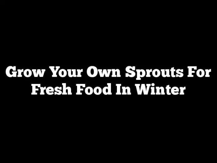 Grow Your Own Sprouts For Fresh Food In Winter
