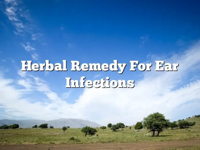 Herbal Remedy For Ear Infections