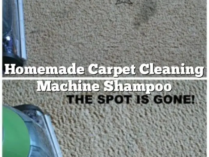 Homemade Carpet Cleaning Machine Shampoo