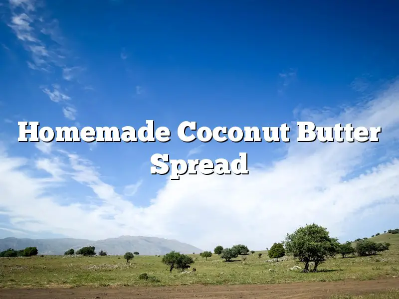 Homemade Coconut Butter Spread