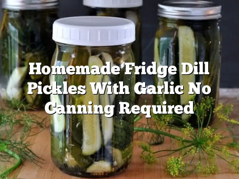 Homemade Fridge Dill Pickles With Garlic No Canning Required