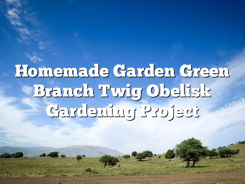 Homemade Garden Green Branch Twig Obelisk Gardening Project