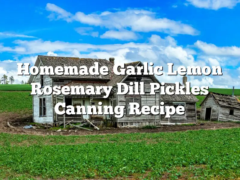 Homemade Garlic Lemon Rosemary Dill Pickles Canning Recipe