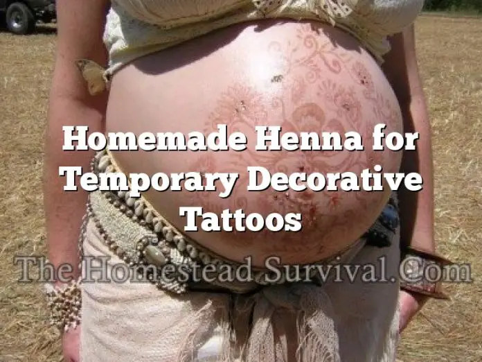 Homemade Henna for Temporary Decorative Tattoos