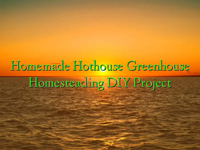 Homemade Hothouse Greenhouse Homesteading DIY Project