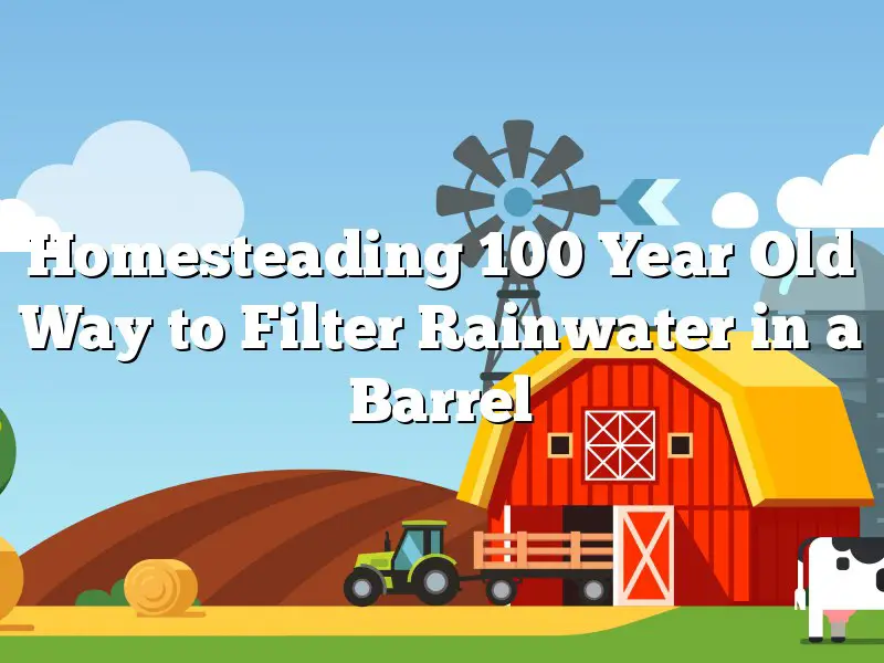Homesteading 100 Year Old Way to Filter Rainwater in a Barrel