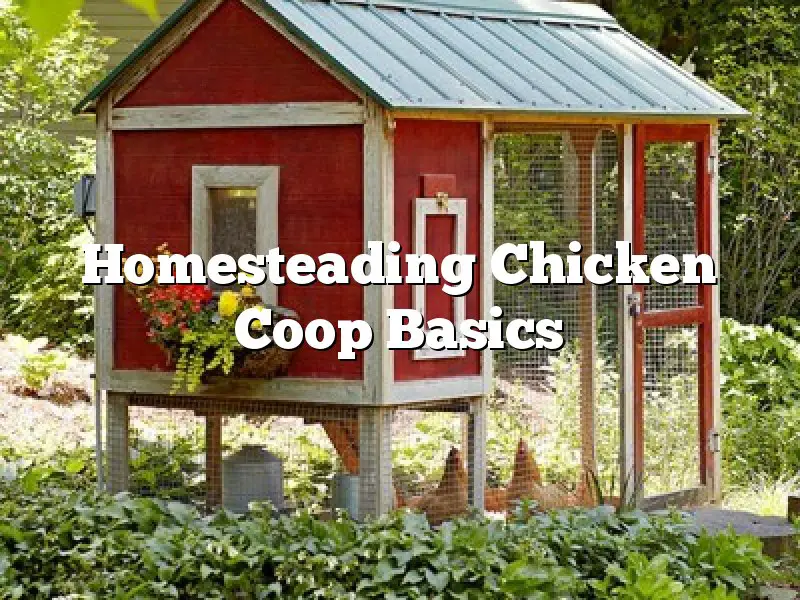 Homesteading Chicken Coop Basics