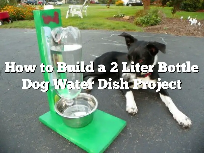 How to Build a 2 Liter Bottle Dog Water Dish Project