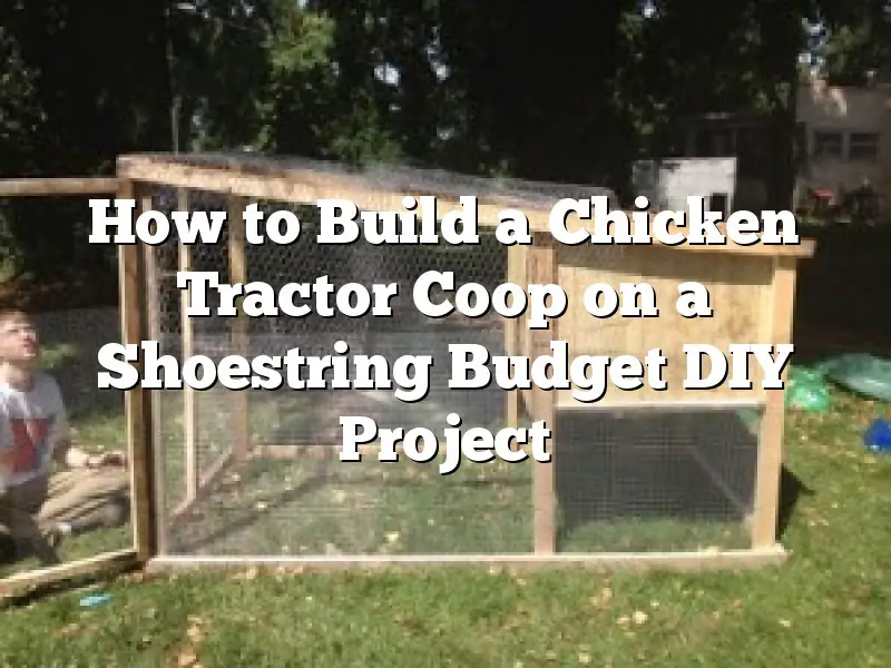 How to Build a Chicken Tractor Coop on a Shoestring Budget DIY Project