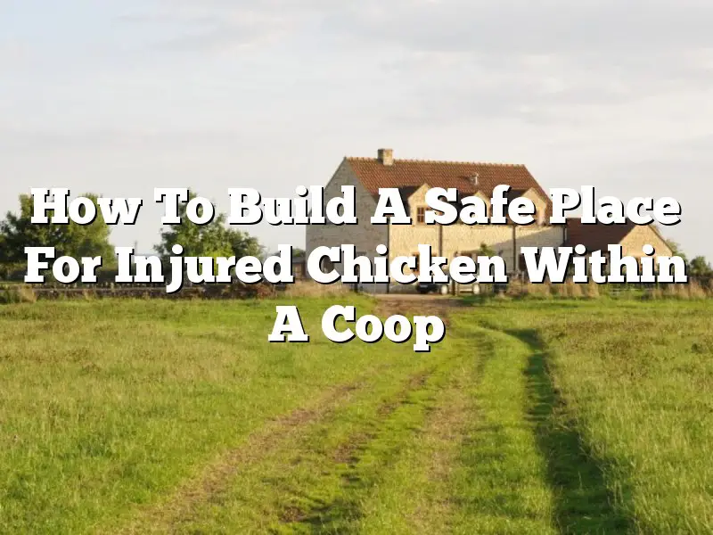How To Build A Safe Place For Injured Chicken Within A Coop