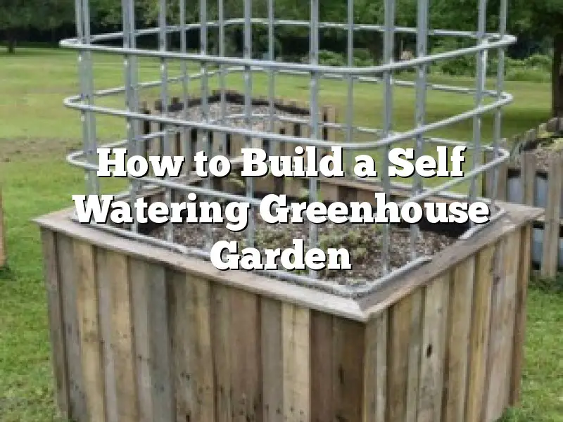 How to Build a Self Watering Greenhouse Garden