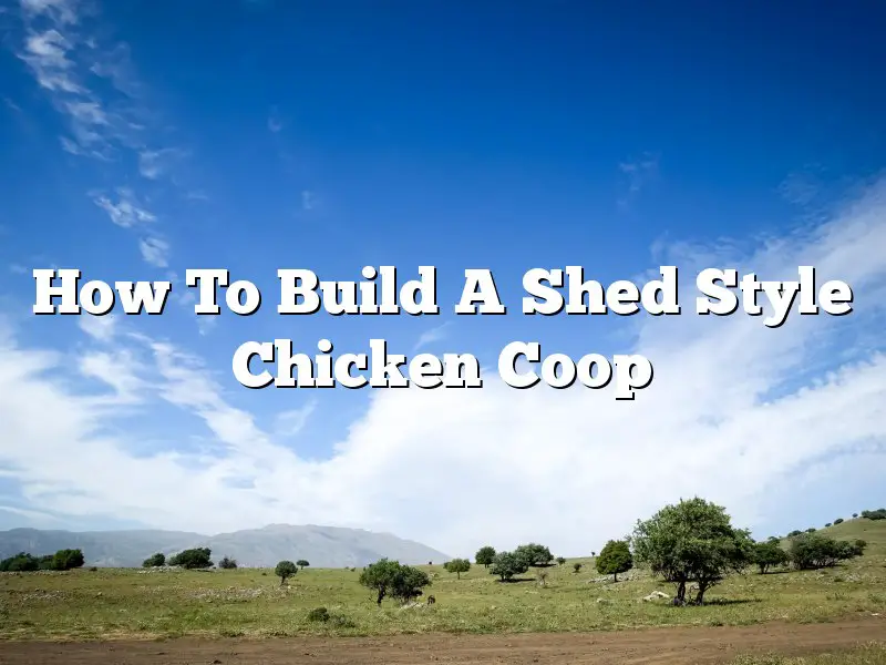 How To Build A Shed Style Chicken Coop