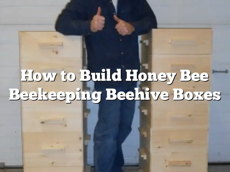 How to Build Honey Bee Beekeeping Beehive Boxes
