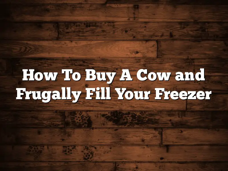 How To Buy A Cow and Frugally Fill Your Freezer