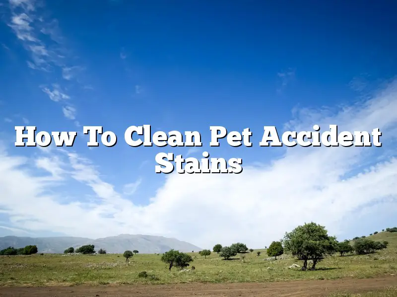 How To Clean Pet Accident Stains
