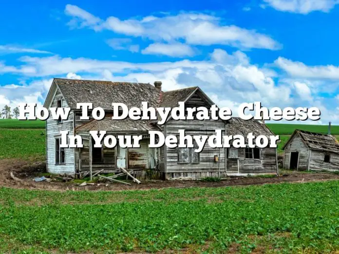 How To Dehydrate Cheese In Your Dehydrator