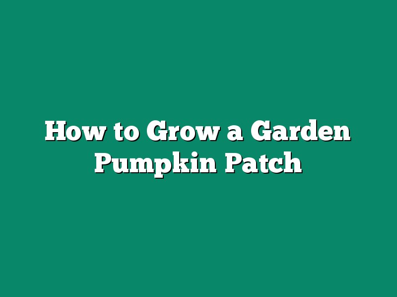How to Grow a Garden Pumpkin Patch