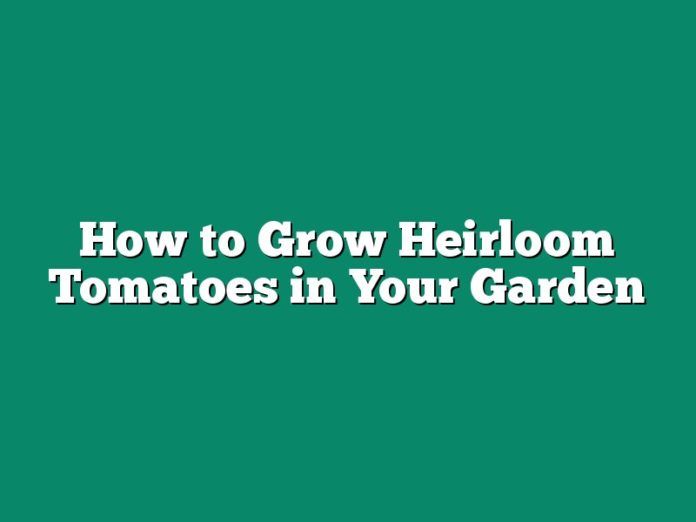 How to Grow Heirloom Tomatoes in Your Garden