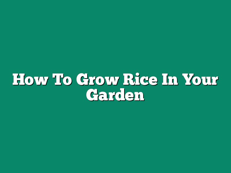 How To Grow Rice In Your Garden