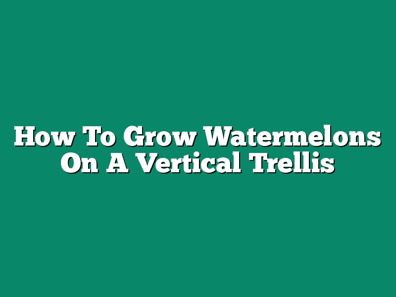 How To Grow Watermelons On A Vertical Trellis
