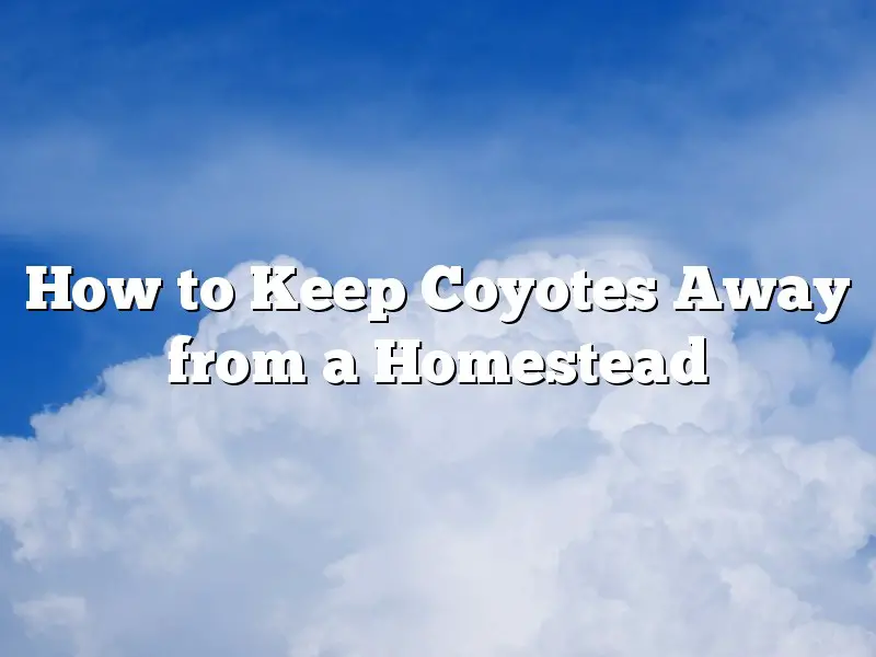 How to Keep Coyotes Away from a Homestead