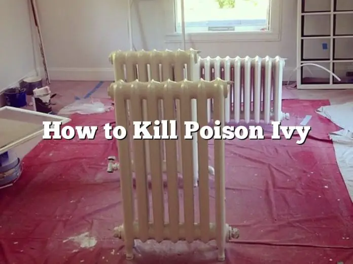 How to Kill Poison Ivy