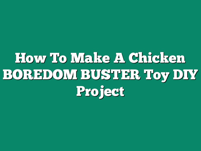 How To Make A Chicken BOREDOM BUSTER Toy DIY Project