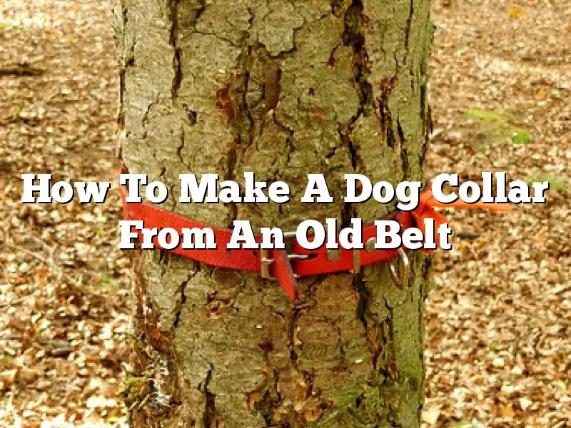 How To Make A Dog Collar From An Old Belt