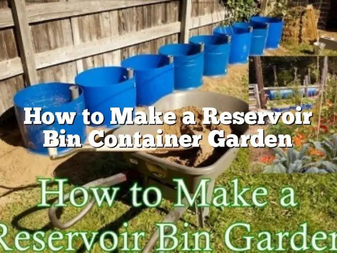 How to Make a Reservoir Bin Container Garden