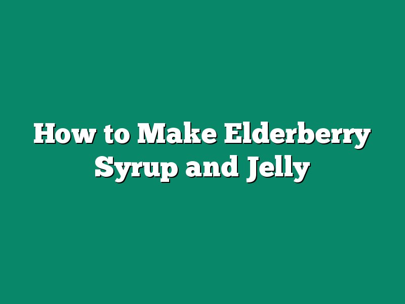 How to Make Elderberry Syrup and Jelly