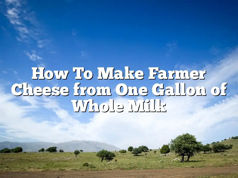 How To Make Farmer Cheese from One Gallon of Whole Milk
