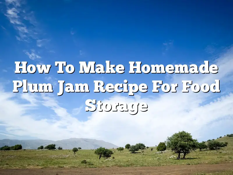 How To Make Homemade Plum Jam Recipe For Food Storage