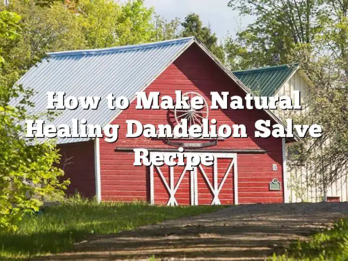 How to Make Natural Healing Dandelion Salve Recipe