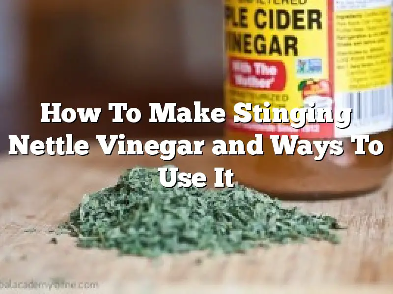 How To Make Stinging Nettle Vinegar and Ways To Use It
