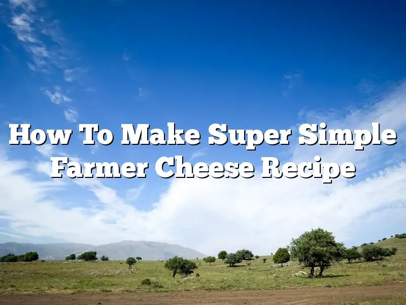 How To Make Super Simple Farmer Cheese Recipe