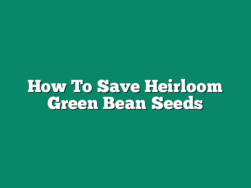 How To Save Heirloom Green Bean Seeds