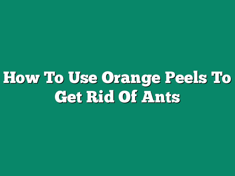 How To Use Orange Peels To Get Rid Of Ants
