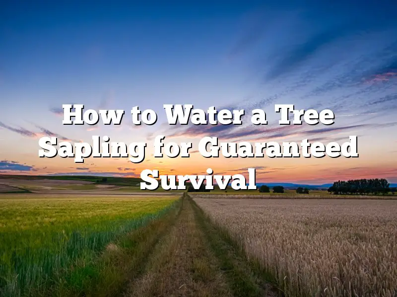 How to Water a Tree Sapling for Guaranteed Survival