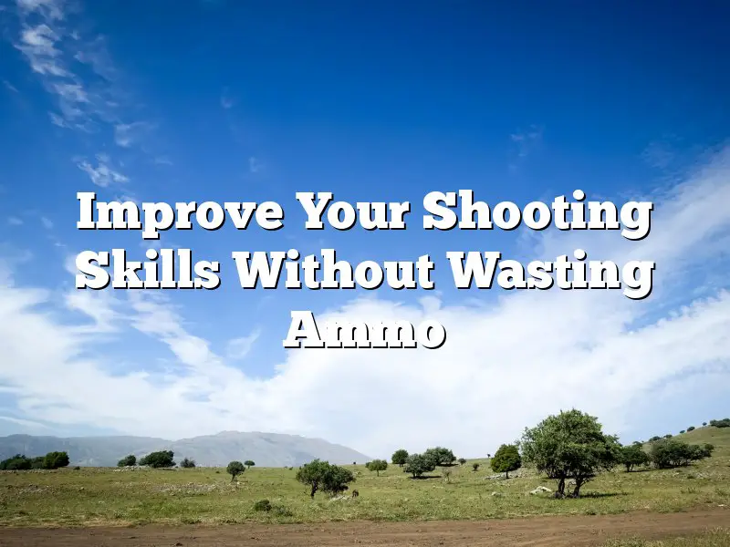 Improve Your Shooting Skills Without Wasting Ammo