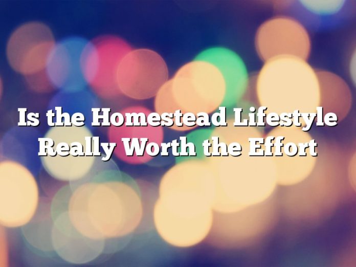 Is the Homestead Lifestyle Really Worth the Effort