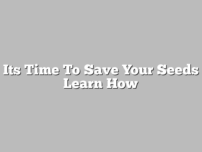 Its Time To Save Your Seeds Learn How