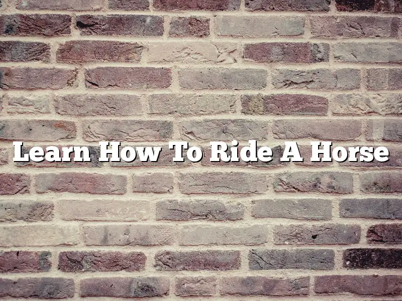Learn How To Ride A Horse