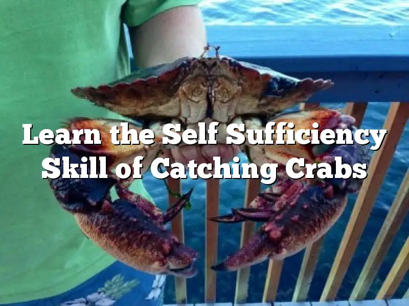 Learn the Self Sufficiency Skill of Catching Crabs