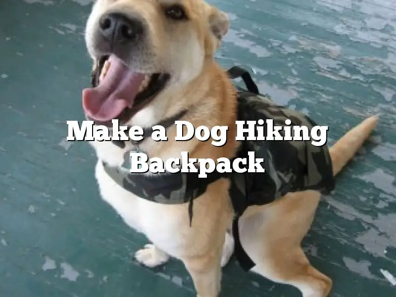 Make a Dog Hiking Backpack