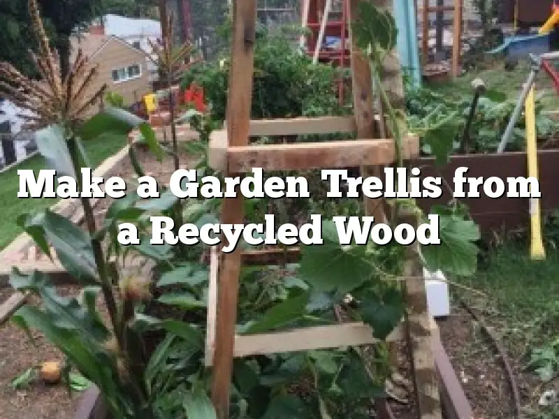 Make a Garden Trellis from a Recycled Wood