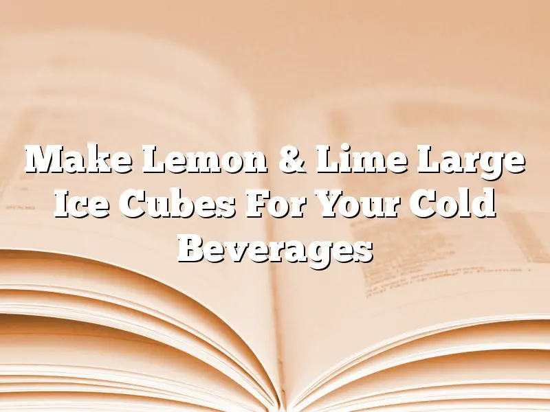 Make Lemon & Lime Large Ice Cubes For Your Cold Beverages