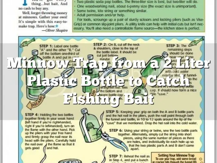 Minnow Trap from a 2 Liter Plastic Bottle to Catch Fishing Bait