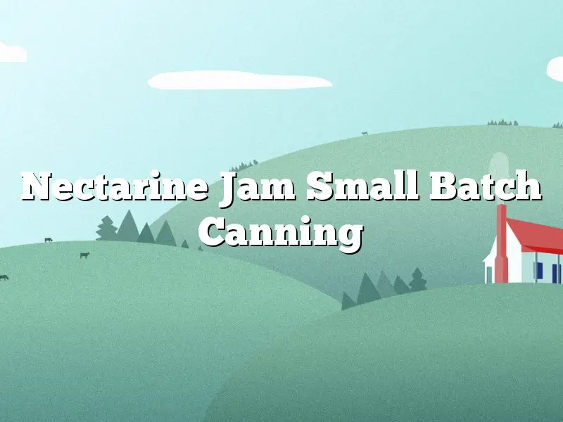Nectarine Jam Small Batch Canning