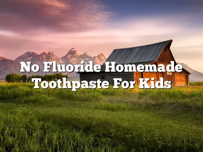 No Fluoride Homemade Toothpaste For Kids