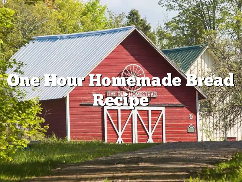 One Hour Homemade Bread Recipe